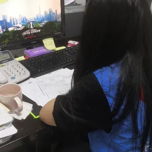 东莞市东城街道办事处花园新村社区居民委员会