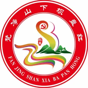 坝盘镇团委