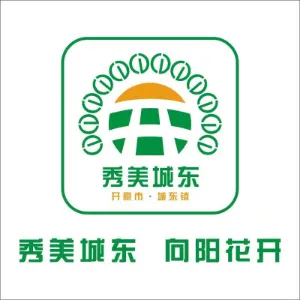 开原市城东镇人民政府