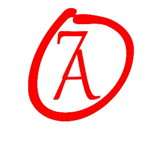 中山市朴石电子商务有限公司