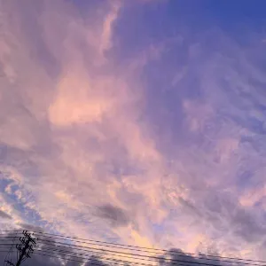 普宁市梅林镇人民政府