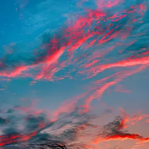 普宁市大坪镇人民政府