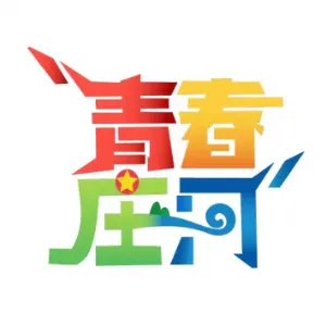 共青团庄河市委员会