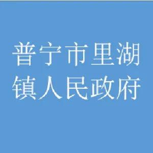 里湖镇人民政府
