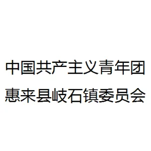 中国共产主义青年团惠来县岐石镇委员会