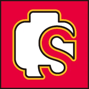 广东森宝文化实业有限公司