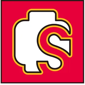 广东森宝文化实业有限公司