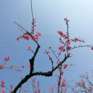 广东省英德市审计局