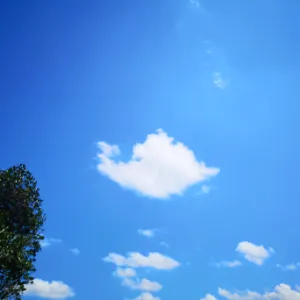 硅能光电半导体（广州）有限公司