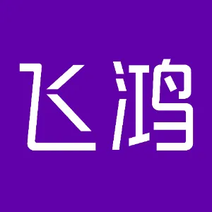 湖南飞鸿电子信息有限公司