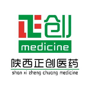 陕西正创医药有限公司