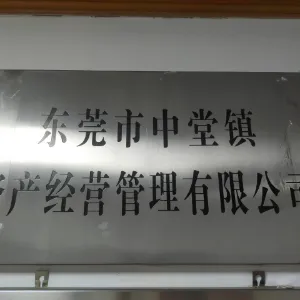 东莞市中堂资产经营管理有限公司