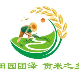 中国共产主义共青团遵义市汇川区团泽镇委员会
