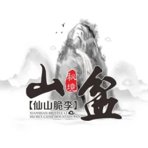 山盆镇人民政府