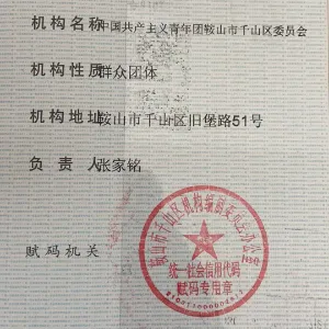 中国共产主义青年团鞍山市千山区委员会