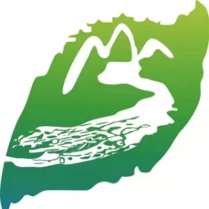 分水镇人民政府
