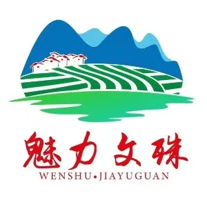 嘉峪关市文殊镇人民政府