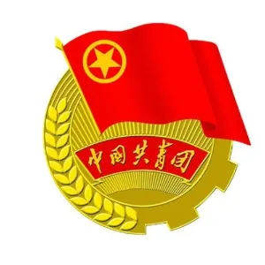 中国共产主义青年团朝阳市双塔区桃花吐镇委员会