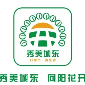 开原市城东镇人民政府