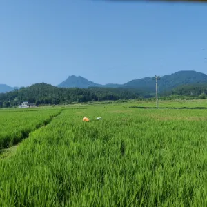 仁化县农业农村局