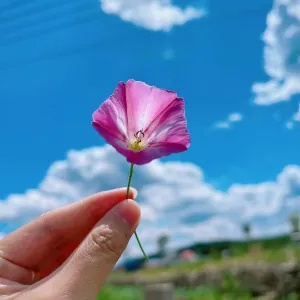 辽宁省葫芦岛市连山区站前街道办事处
