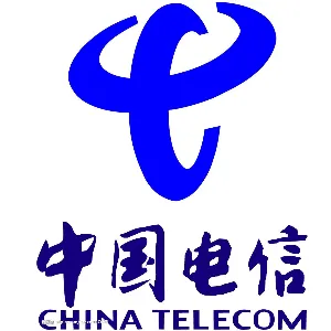 中国电信股份有限公司大方分公司