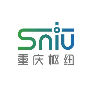 重庆城市综合交通枢纽（集团）有限公司