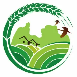 胜利镇人民政府