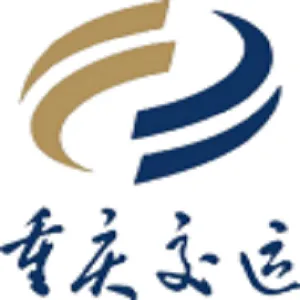 重庆市汽车运输（集团）有限责任公司