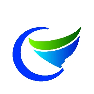 重庆市城市建设发展有限公司