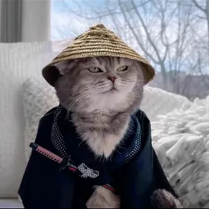 汕头市龙湖区龙华街道办事处