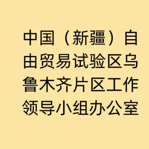 中国（新疆）自由贸易试验区乌鲁木齐片区工作领导小组办公室