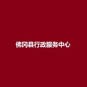 佛冈县人民政府行政服务中心