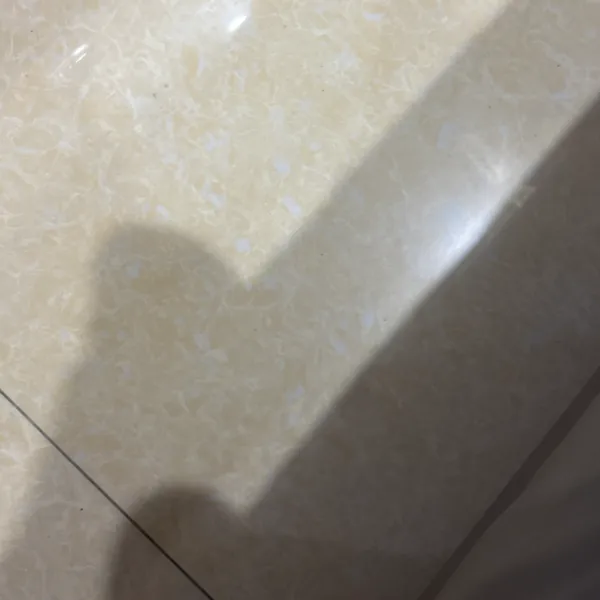 东莞市宝通物流有限公司