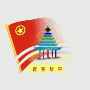 共青团黎平县委员会