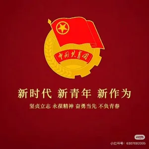 共青团织金县委