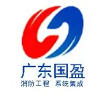 广东国盈信息科技有限公司