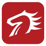 广东百城人才网络股份有限公司