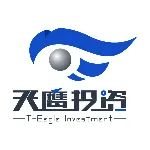 广东天鹰投资有限公司