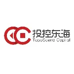 深圳市投控东海投资有限公司
