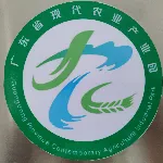 汕尾乾元现代农业有限公司
