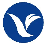 上海飞未信息技术有限公司
