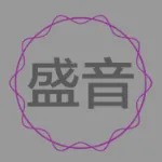 深圳盛音电子科技有限公司