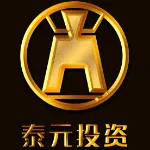 佛山市泰元投资有限公司