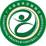 广东省业余足球协会