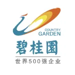 碧桂园集团