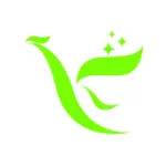中科之光（广州）教育科技有限公司
