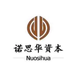 诺思华投资控股（深圳）有限公司