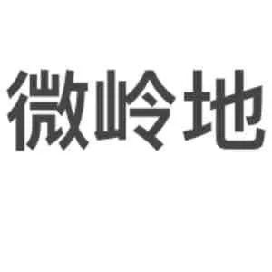 河北微岭地网络科技有限公司
