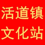 肇庆市高要区活道镇文化站